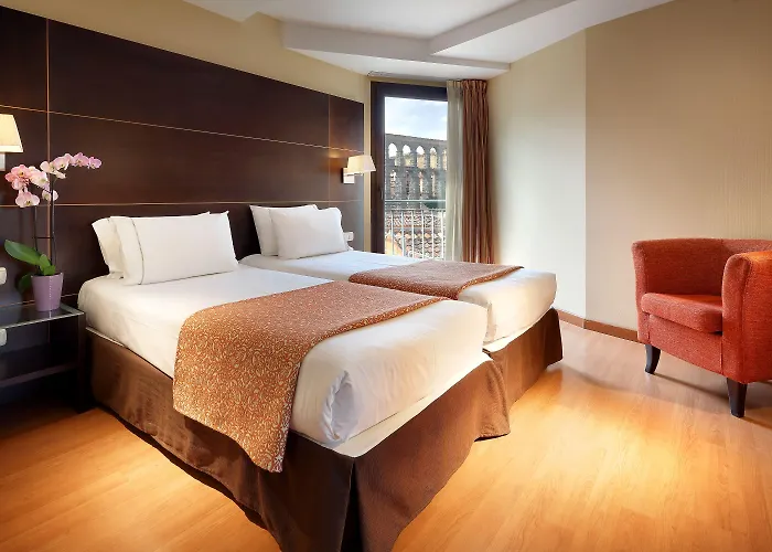 欧洲之星水道桥广场酒店 酒店 塞哥维亚