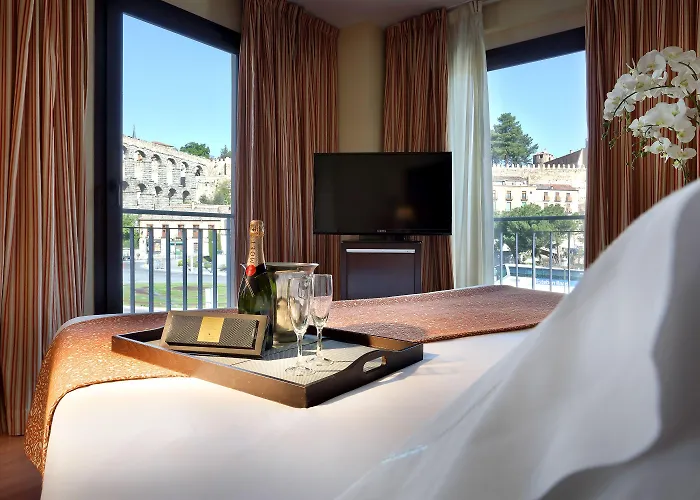 欧洲之星水道桥广场酒店 塞哥维亚